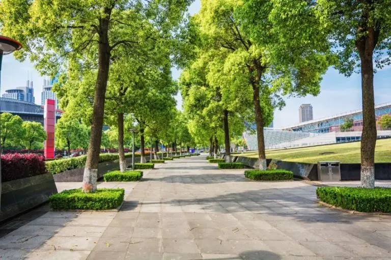 Shenzhen City Park