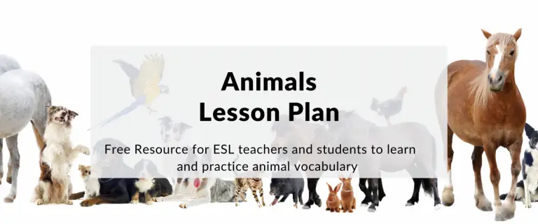 ESL Lesson Plan: Animals (Beginner Exercises)